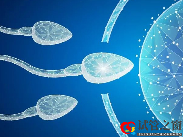 美國四代試管嬰兒普及詳情,臨床上還停留在研究階段(圖2) 美國運用的是三代試管技術(shù)