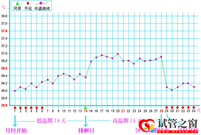 排卵期體溫曲線圖
