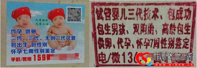 性別鑒定、包生男女三代試管「亂象」緣何產(chǎn)生(圖5)