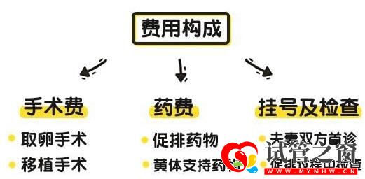 全國(guó)首次!試管嬰兒費(fèi)用納入醫(yī)保報(bào)銷(xiāo)(圖4)