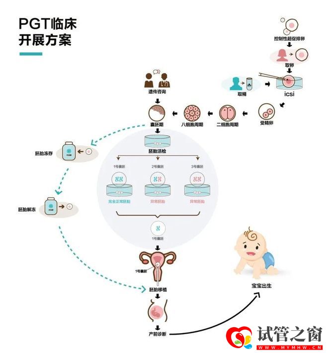 國內(nèi)首個(gè)三代試管創(chuàng)新產(chǎn)品獲批上市,胚胎領(lǐng)域黑科技到底牛在哪(圖3)