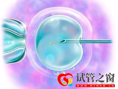 武漢三代試管助孕機(jī)構(gòu)!如何配合助孕機(jī)構(gòu)才能提高成功率(圖1)