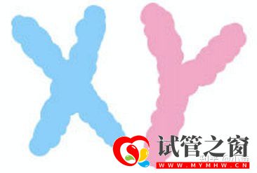 三代試管的真相,80%的人都不知道!學(xué)姐說(圖3)