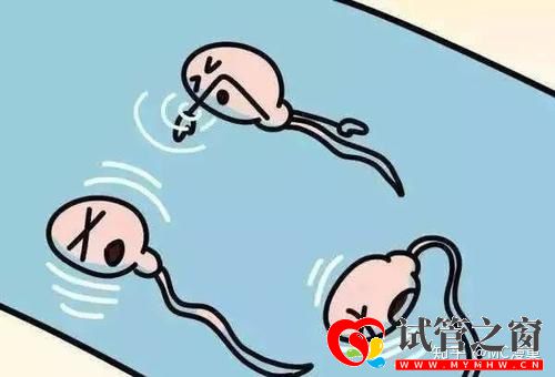三分鐘教你分辨死精和弱精(圖2)