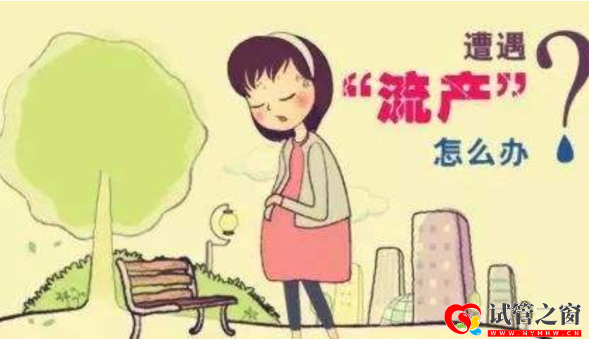 妊娠早期遭遇自然流產(chǎn)？約有50%因染色體異常所致！如何避免？(圖1)