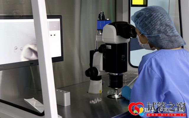 一起來看下試管嬰兒的花費(fèi)明細(xì)表(圖1)