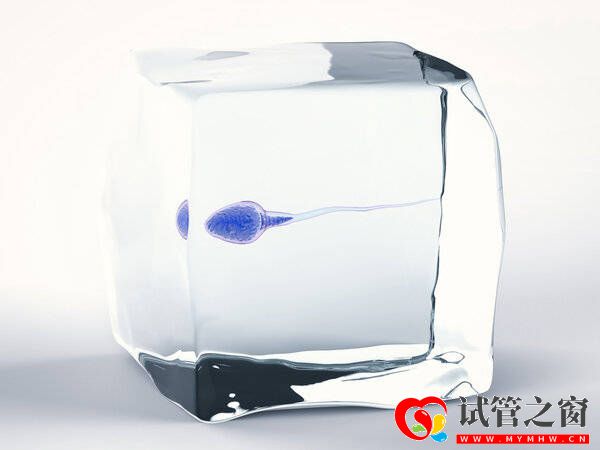 試管之窗：死精癥是什么原因?qū)е碌模?圖1)
