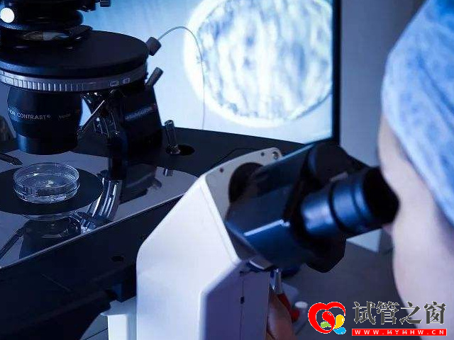 黃體期促排使用患者會經(jīng)歷兩次取卵