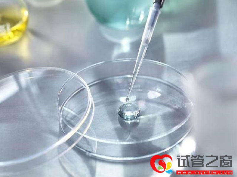 試管一代到四代的特點(diǎn),局外人也能看懂(圖3) 三代試管嬰兒技術(shù)特點(diǎn)防止遺傳病