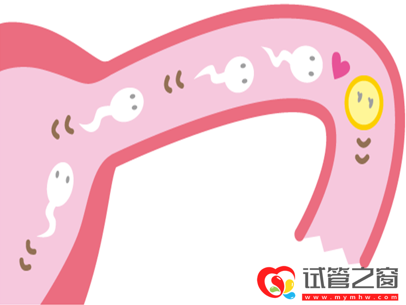 試管黃體期促排天數(shù)