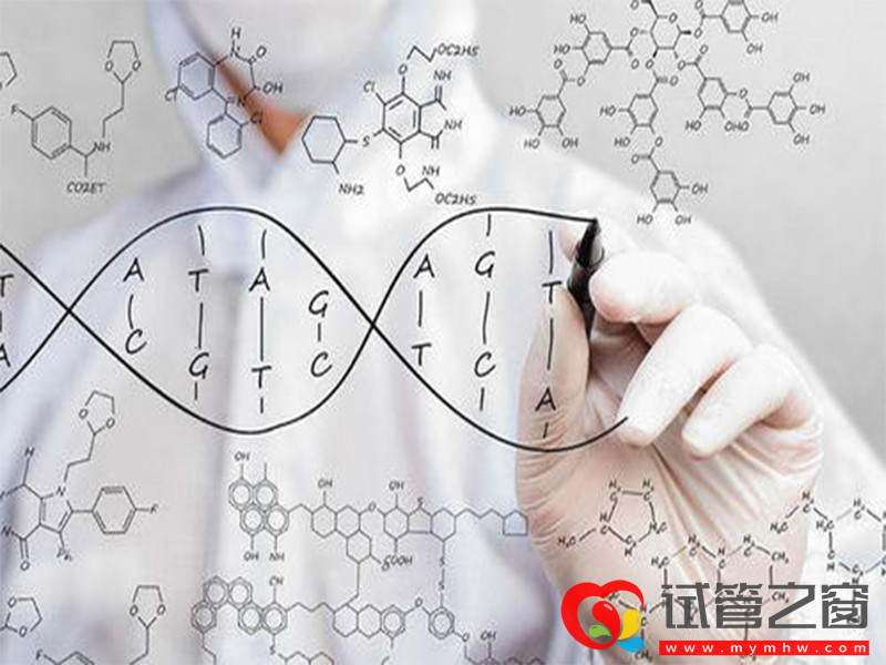 柬埔寨皇家生殖遺傳醫(yī)院費用