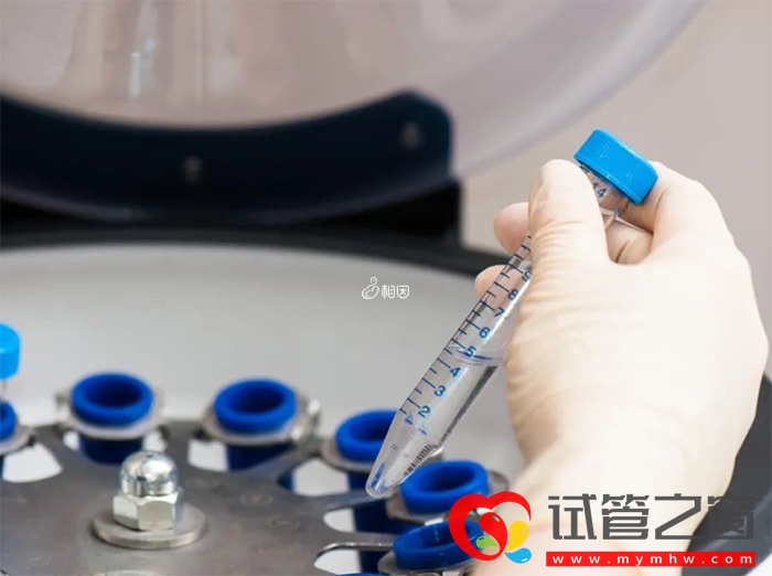 35歲以下做三代試管成功達(dá)百分之80