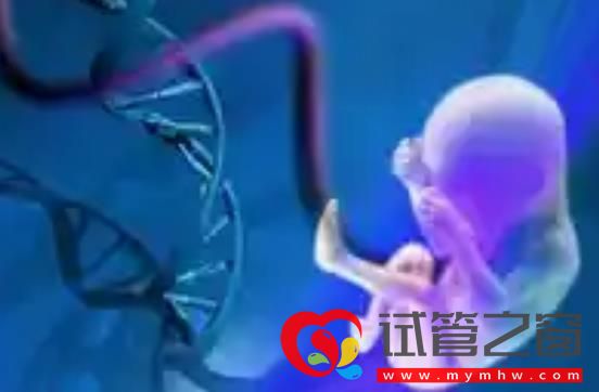 深圳市試管嬰兒醫(yī)院成功率排名(圖1)