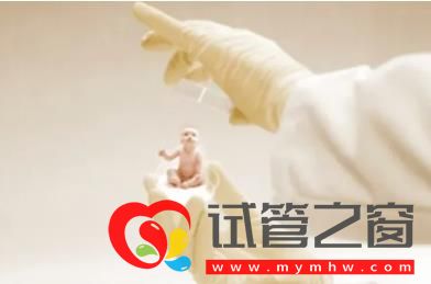 試管嬰兒技術(shù)