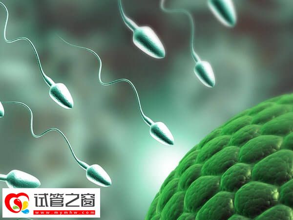 做試管嬰兒對精子的要求