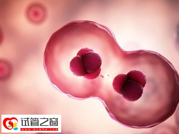 促排卵泡早排會(huì)不會(huì)影響體溫