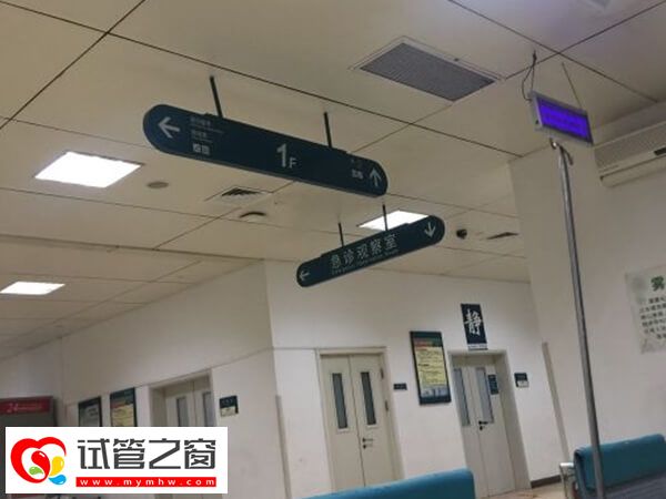 杭州做試管最好的醫(yī)生是誰(shuí)