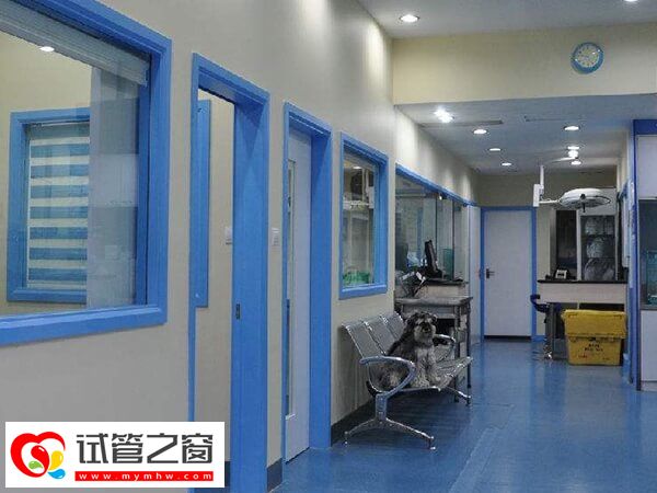 天津和睦家醫(yī)院試管如何