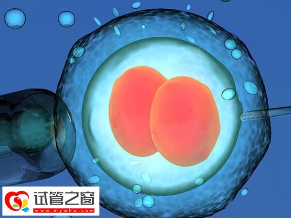 重慶哪個(gè)醫(yī)生做試管最權(quán)威