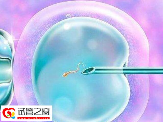 凍胚移植的最佳時(shí)間是什么時(shí)候