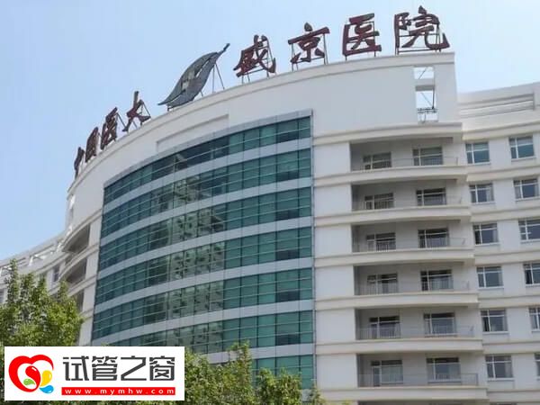 沈陽(yáng)一代試管機(jī)構(gòu)名單