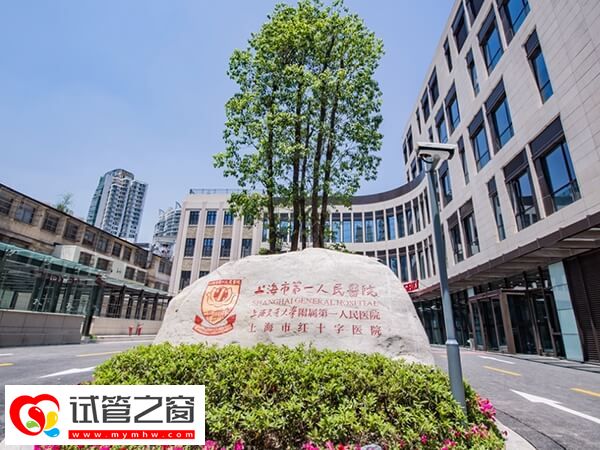 上海三代試管成功率多少
