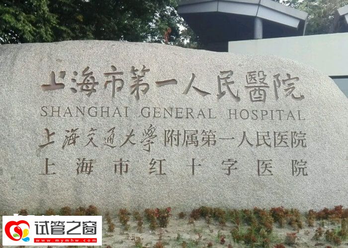 上海三代試管術(shù)前檢查費用
