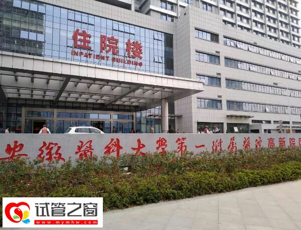 合肥三代試管成功率多少