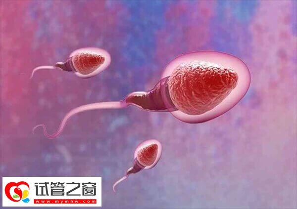 呼和浩特有3家醫(yī)院可以做人授