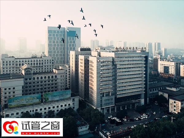 南華大學(xué)附屬第一醫(yī)院二代試管成功率較高