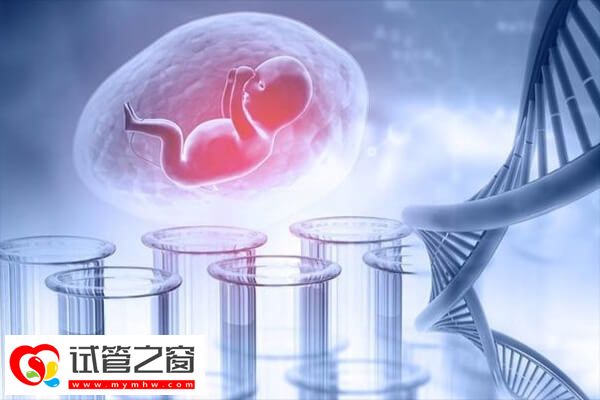 體外授精是三代試管嬰兒的流程之一