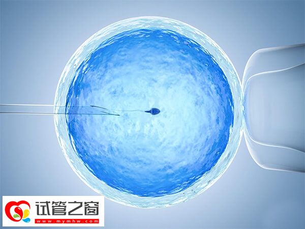 廊坊地區(qū)只有一家醫(yī)院能做試管