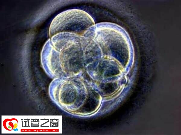 廊坊試管嬰兒手術(shù)費約1-2萬元