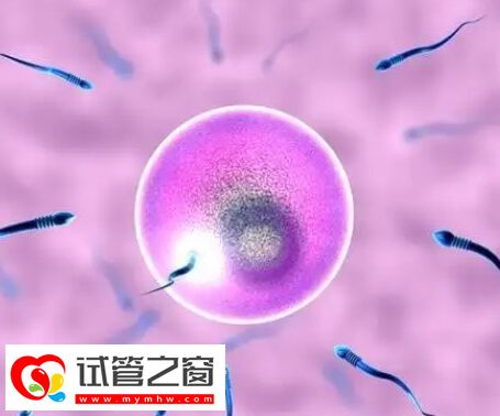 徐州有兩家試管醫(yī)院