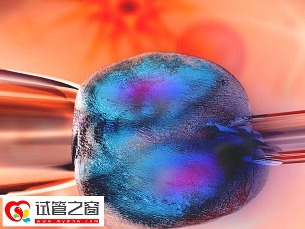 促排卵是三代試管嬰兒的流程之一