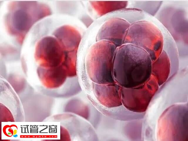 胚胎培養(yǎng)是做試管嬰兒的流程之一