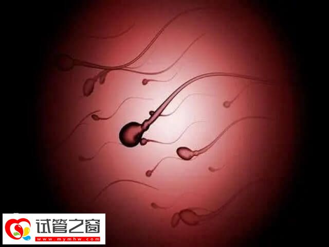 精子質(zhì)量好試管成功率會(huì)更高