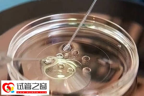 妊娠高風(fēng)險(xiǎn)的患者不建議懷雙胎