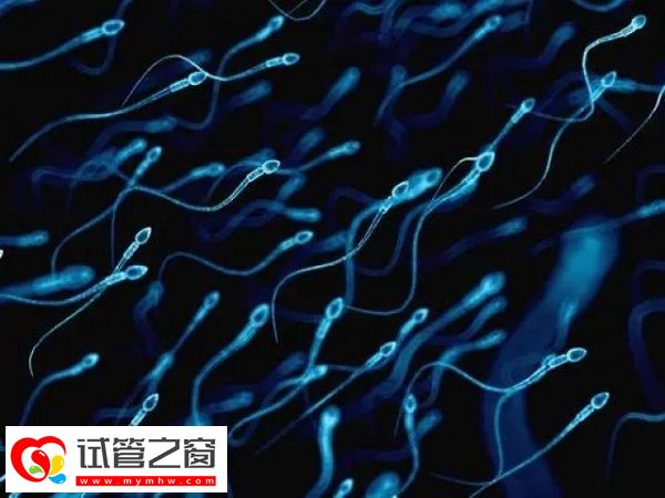 精子質(zhì)量影響男性能力