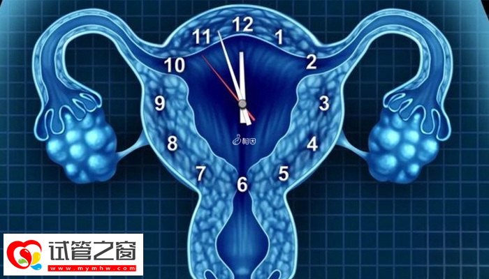 卵巢功能與年齡也有關(guān)