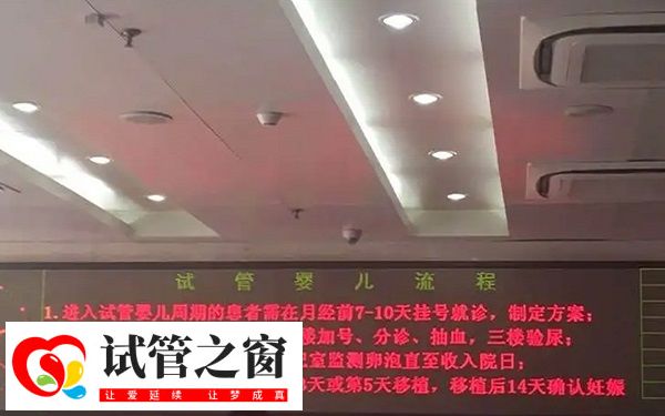 二次移植間隔超過(guò)半年要重新建檔
