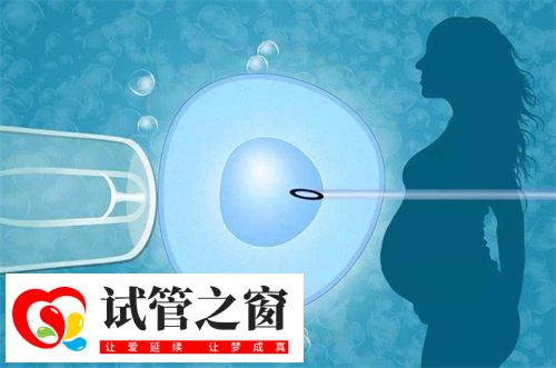 2次試管嬰兒成功案例分析！試管助孕前做好哪些事能避免2次移植(圖1)
