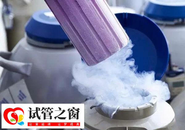 胚胎冷凍按管數(shù)收費