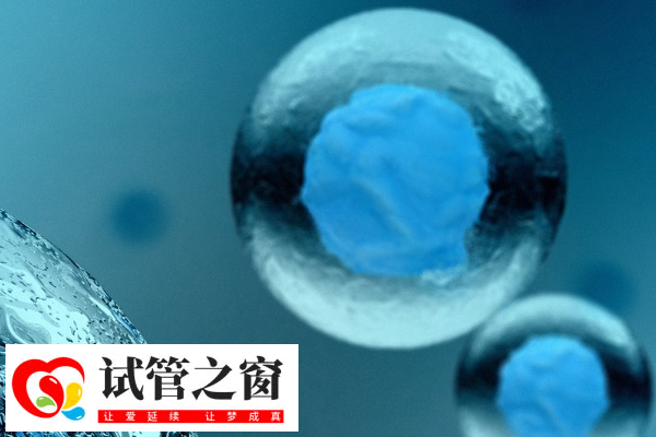 試管嬰兒技術不受月份的影響
