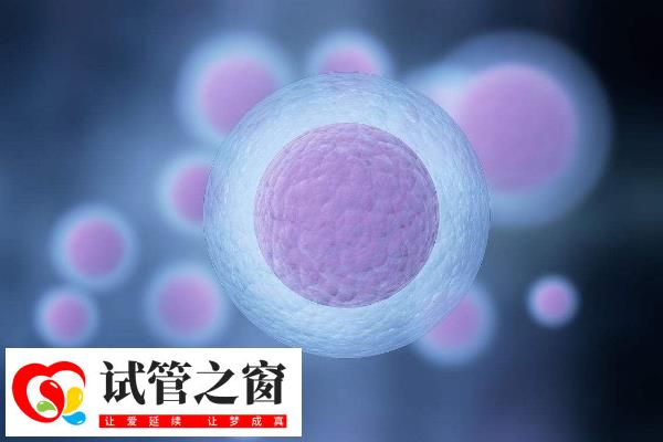 年齡達到35歲移植2-3個胚胎
