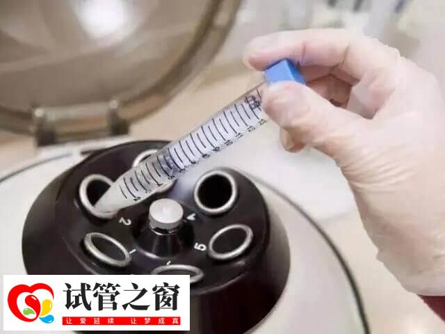 睪丸穿刺前可進(jìn)行局部麻醉