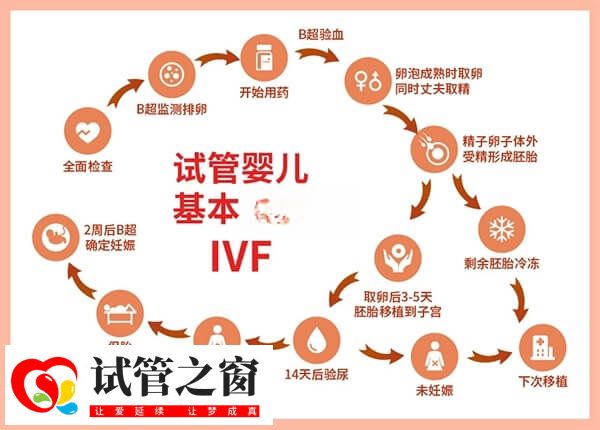 胚胎移植是做試管嬰兒的核心步驟