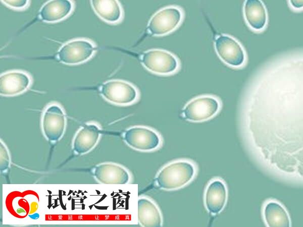 避免不良習(xí)慣可以提高精子活力