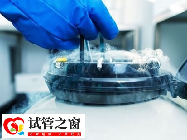 移植凍胚前要先準(zhǔn)備內(nèi)膜