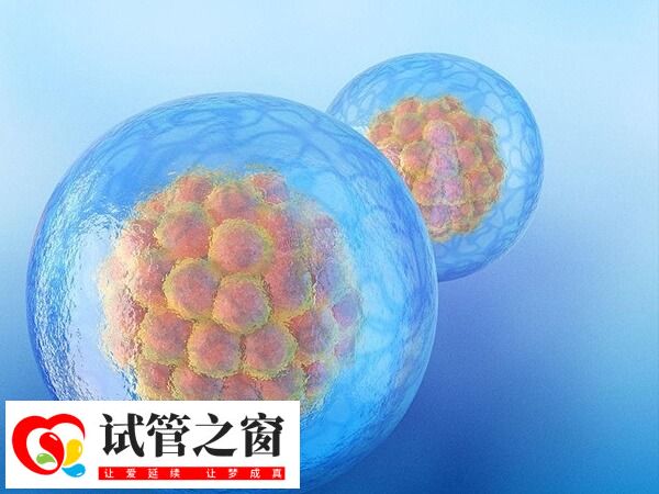 促排取卵數(shù)量因人而異